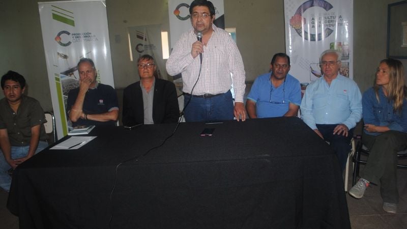 Promueven el cultivo de zanahoria en Catamarca