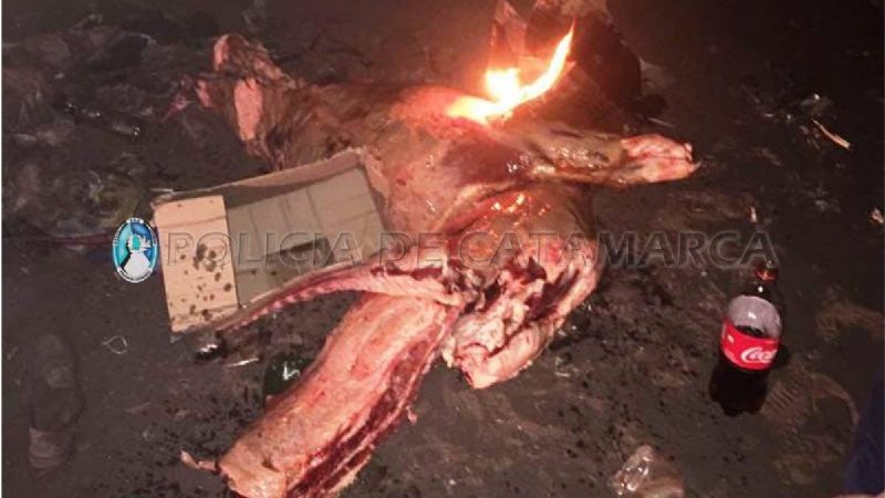 Decomisan carne vacuna en Capayán