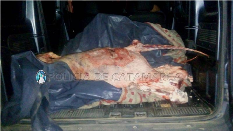 Decomisan carne vacuna en Capayán