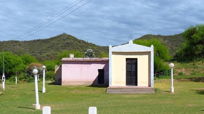 ¿Conocías el bosque con palmeras en Catamarca?