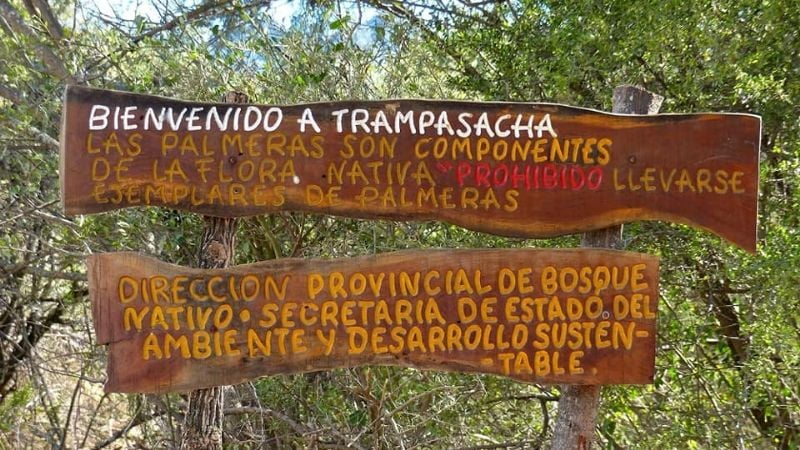 ¿Conocías el bosque con palmeras en Catamarca?