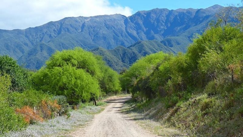 ¿Conocías el bosque con palmeras en Catamarca?