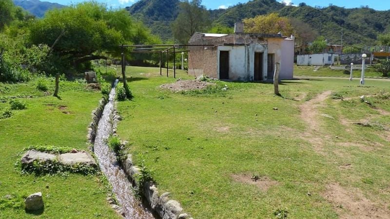 ¿Conocías el bosque con palmeras en Catamarca?