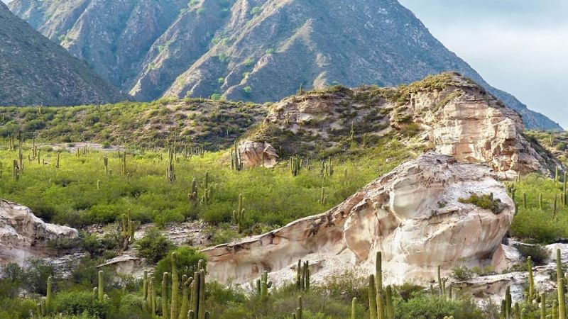 Los paisajes de El Trampeadero
