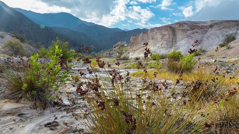Los paisajes de El Trampeadero