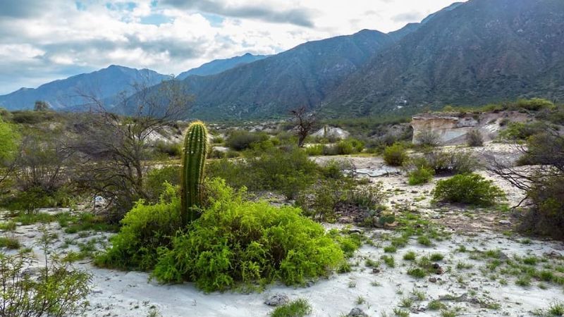 Los paisajes de El Trampeadero