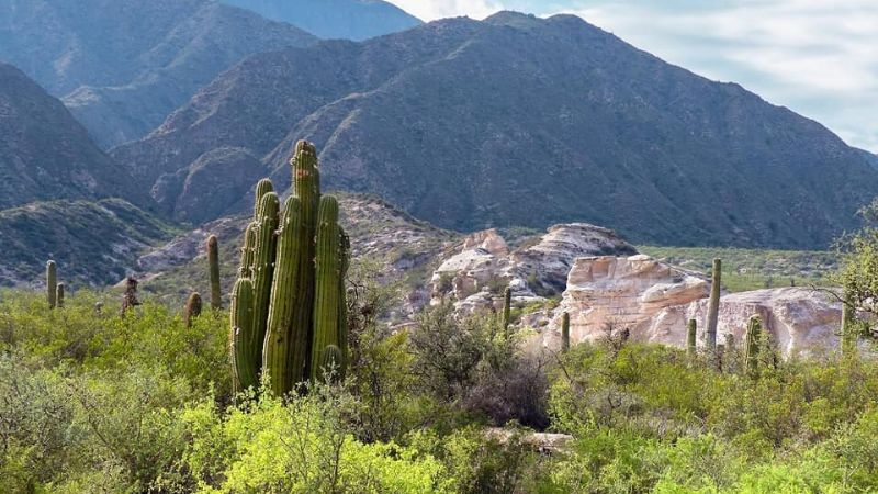 Los paisajes de El Trampeadero