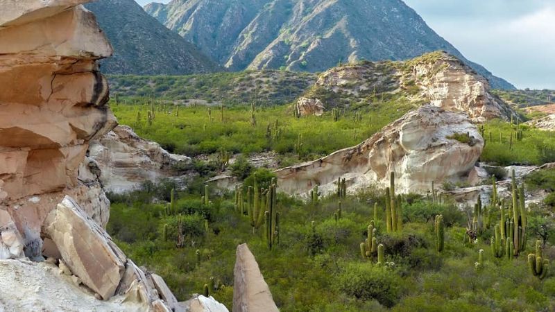 Los paisajes de El Trampeadero