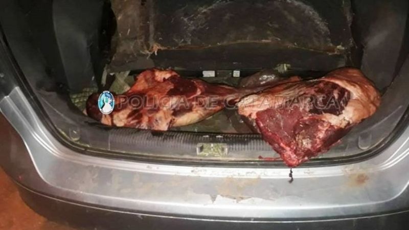 Trasladaban en el baúl del auto carne de caballo recién faenada