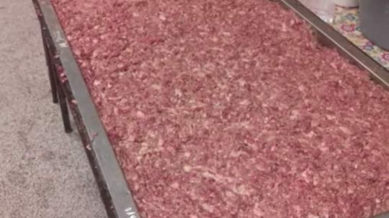 Capacitación sobre embutidos