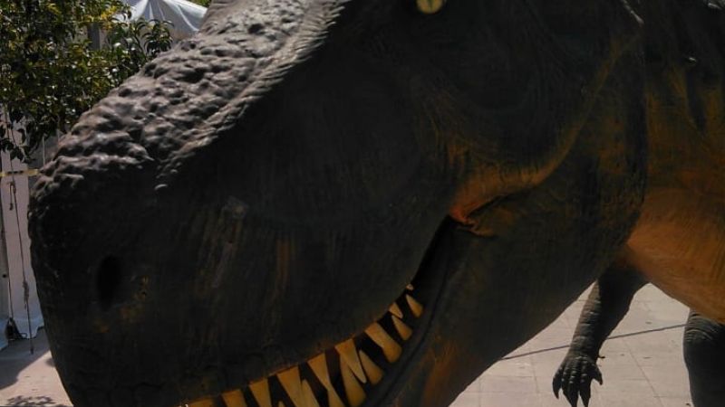 Catamarca se vestirá de ciencia a partir del 10 de octubre