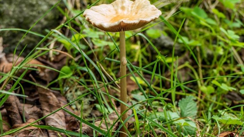 Una maravilla natural poco conocida en Catamarca