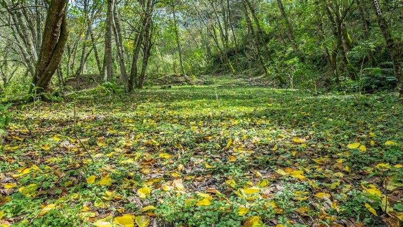 Una maravilla natural poco conocida en Catamarca