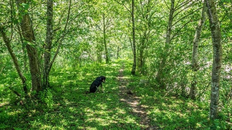 Una maravilla natural poco conocida en Catamarca