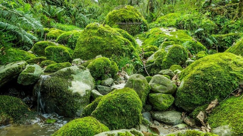 Una maravilla natural poco conocida en Catamarca