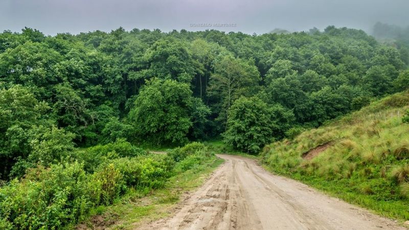 Una maravilla natural poco conocida en Catamarca
