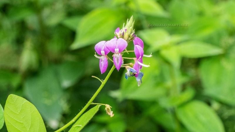 Una maravilla natural poco conocida en Catamarca