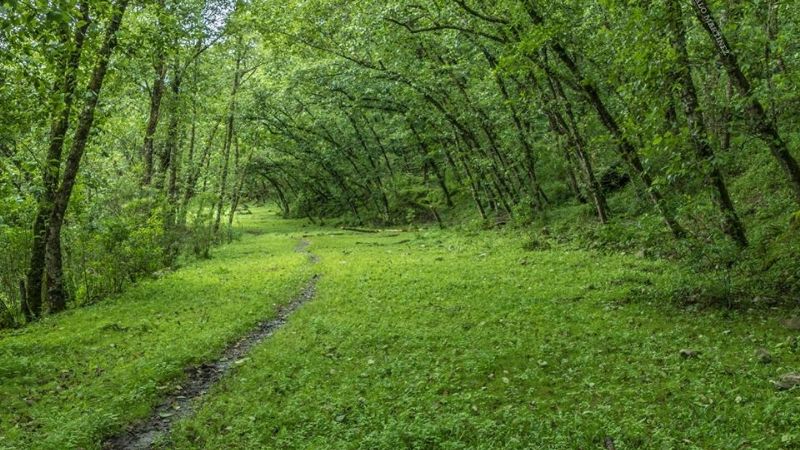 Una maravilla natural poco conocida en Catamarca