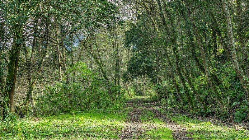 Una maravilla natural poco conocida en Catamarca