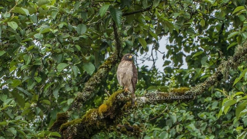 Una maravilla natural poco conocida en Catamarca