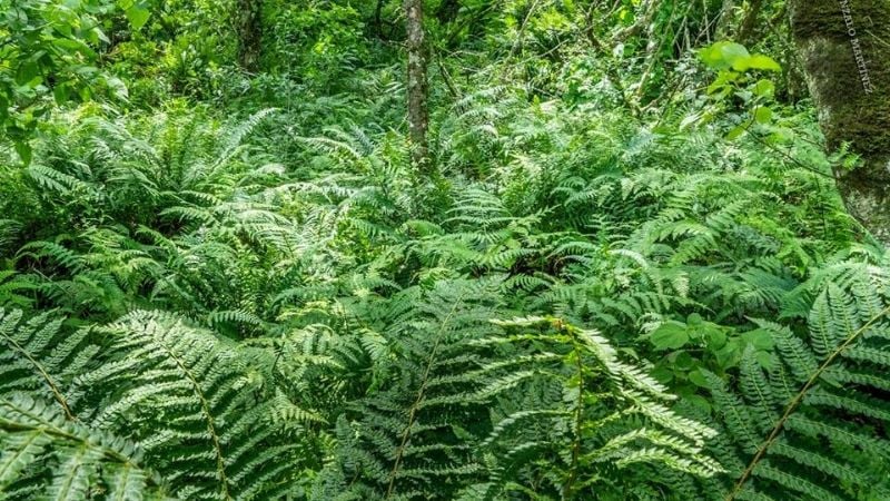 Una maravilla natural poco conocida en Catamarca