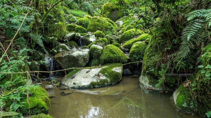 Una maravilla natural poco conocida en Catamarca
