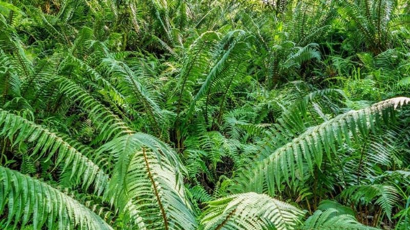 Una maravilla natural poco conocida en Catamarca