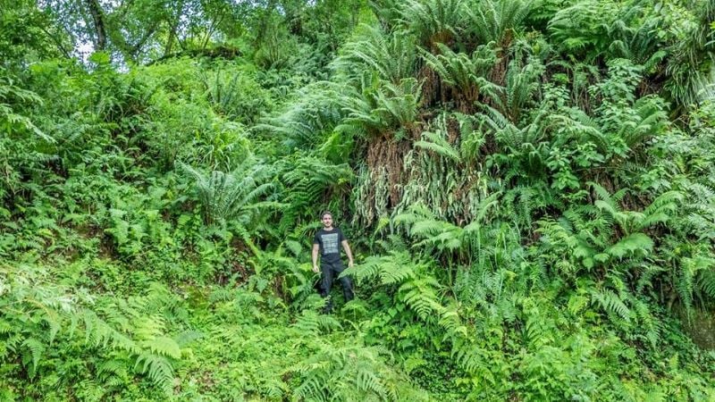 Una maravilla natural poco conocida en Catamarca