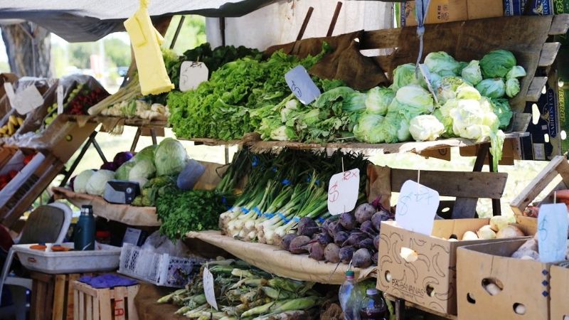 Mercado Social: una iniciativa para hacer frente a la crisis