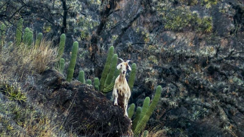 Una maravilla tan cercana como escondida