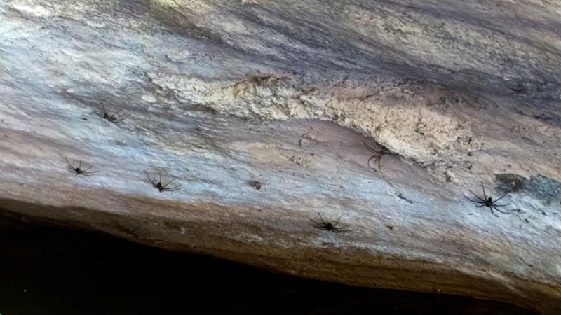 Una maravilla tan cercana como escondida