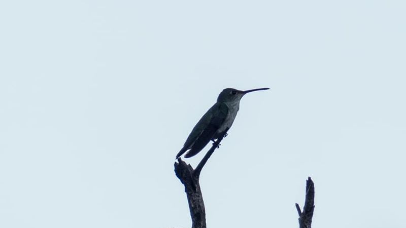 Una maravilla tan cercana como escondida