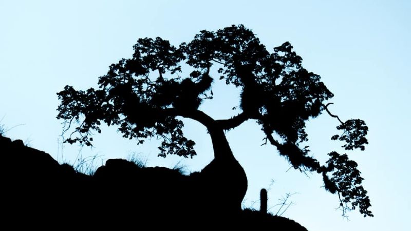 Una maravilla tan cercana como escondida