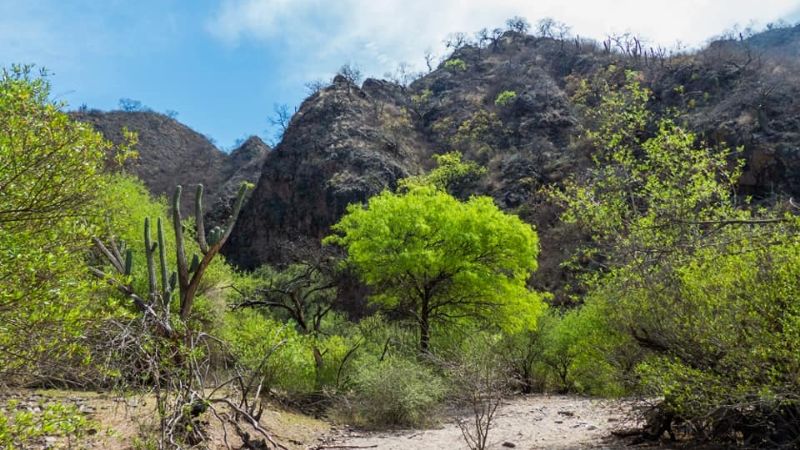 Una maravilla tan cercana como escondida