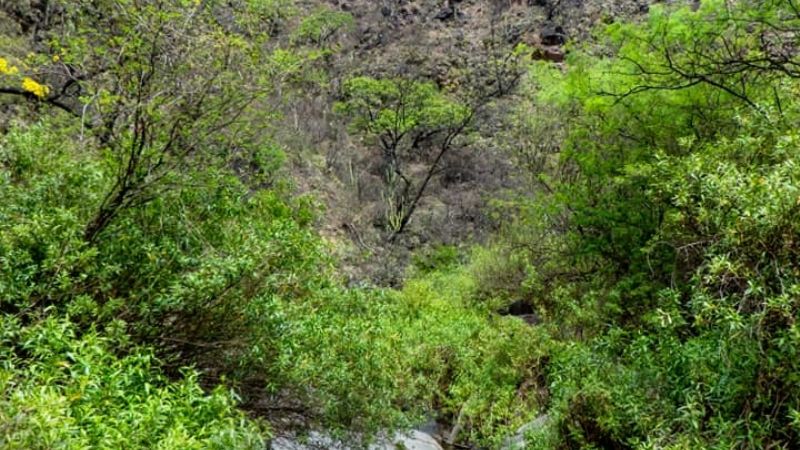 Una maravilla tan cercana como escondida