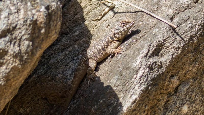 Una maravilla tan cercana como escondida