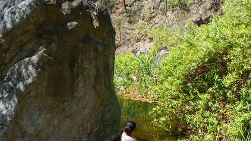 Una maravilla tan cercana como escondida