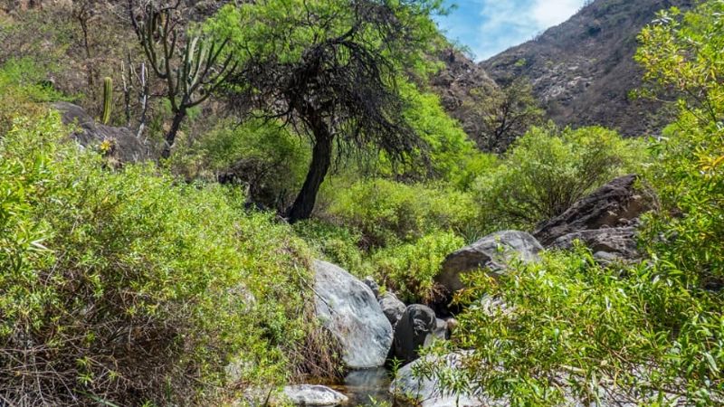Una maravilla tan cercana como escondida