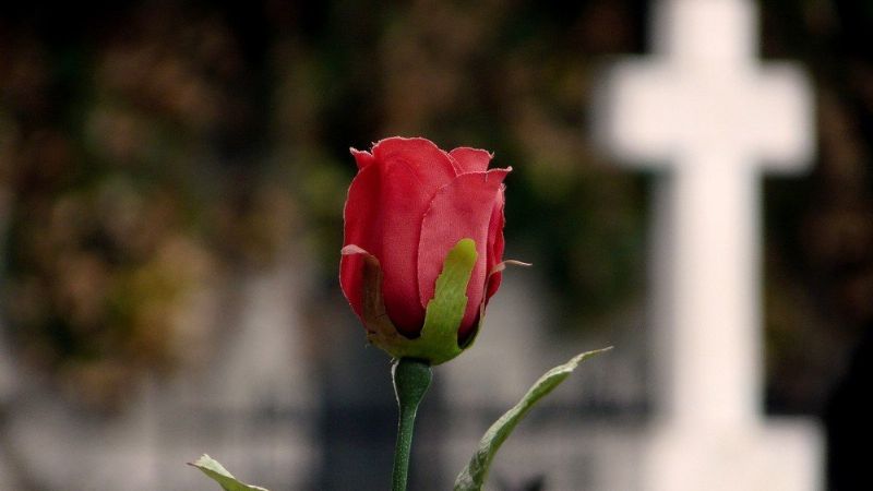 Horarios de misas por los fieles difuntos