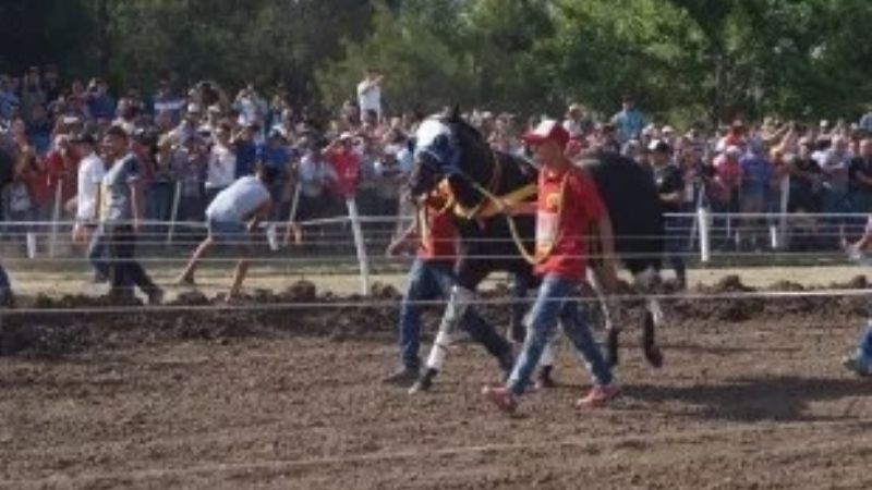“Americano” cabeza de serie en la Copa Challenguer