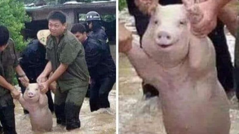 Las bromas sobre la suspensión de la Superfinal