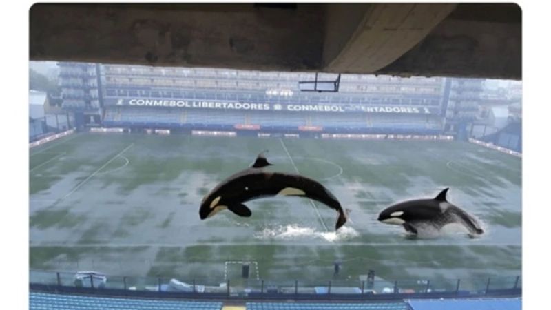 Las bromas sobre la suspensión de la Superfinal