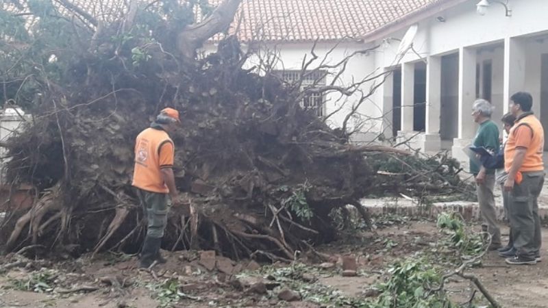 Defensa Civil continúa con la asistencia en Lavalle
