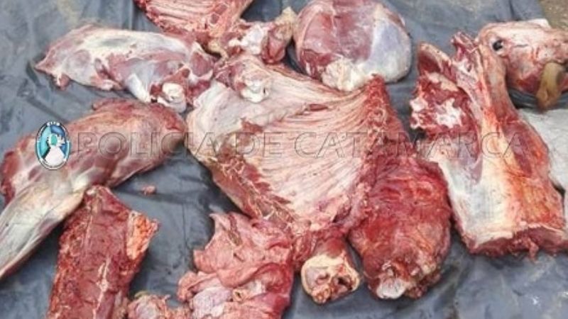 Le robaron una vaca y la encuentran faenada