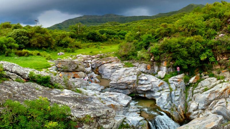 Una belleza, el saltón de El Rosario