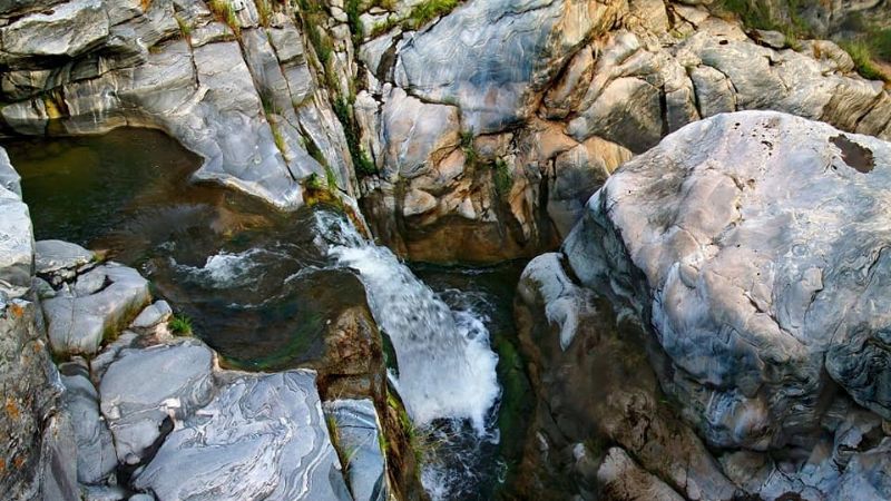 Una belleza, el saltón de El Rosario