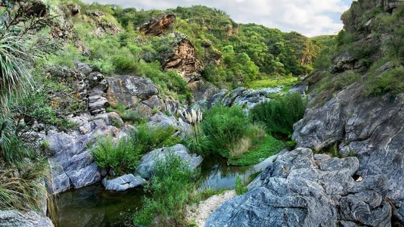 Una belleza, el saltón de El Rosario