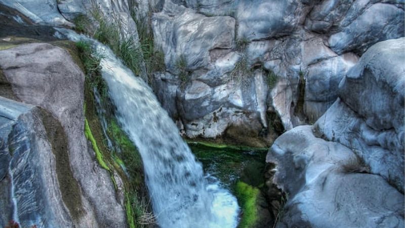 Una belleza, el saltón de El Rosario