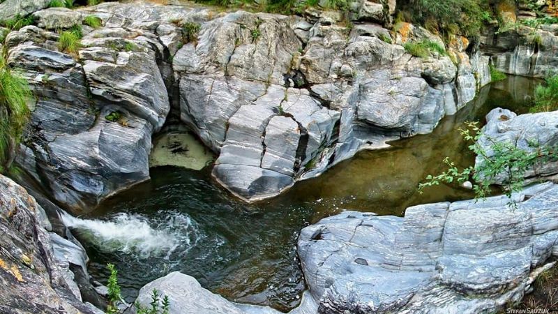 Una belleza, el saltón de El Rosario