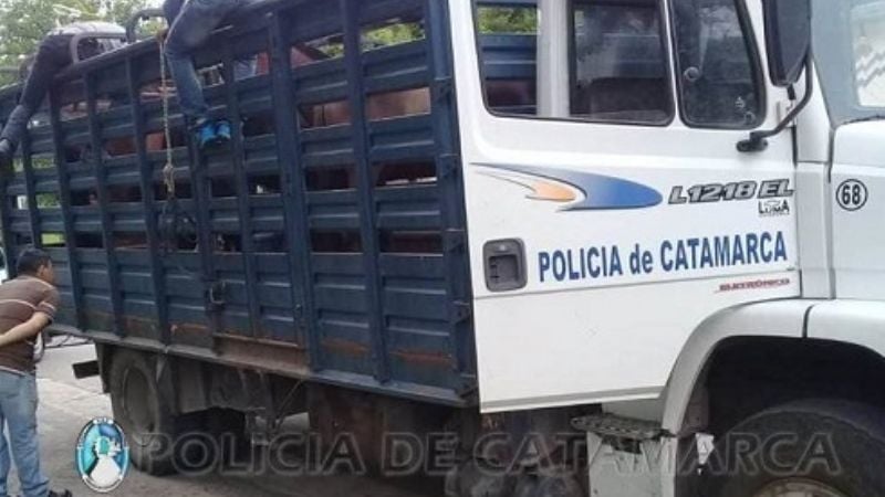 Capturan animales sueltos en Paclín